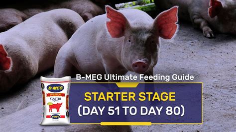 bmeg feeding guide